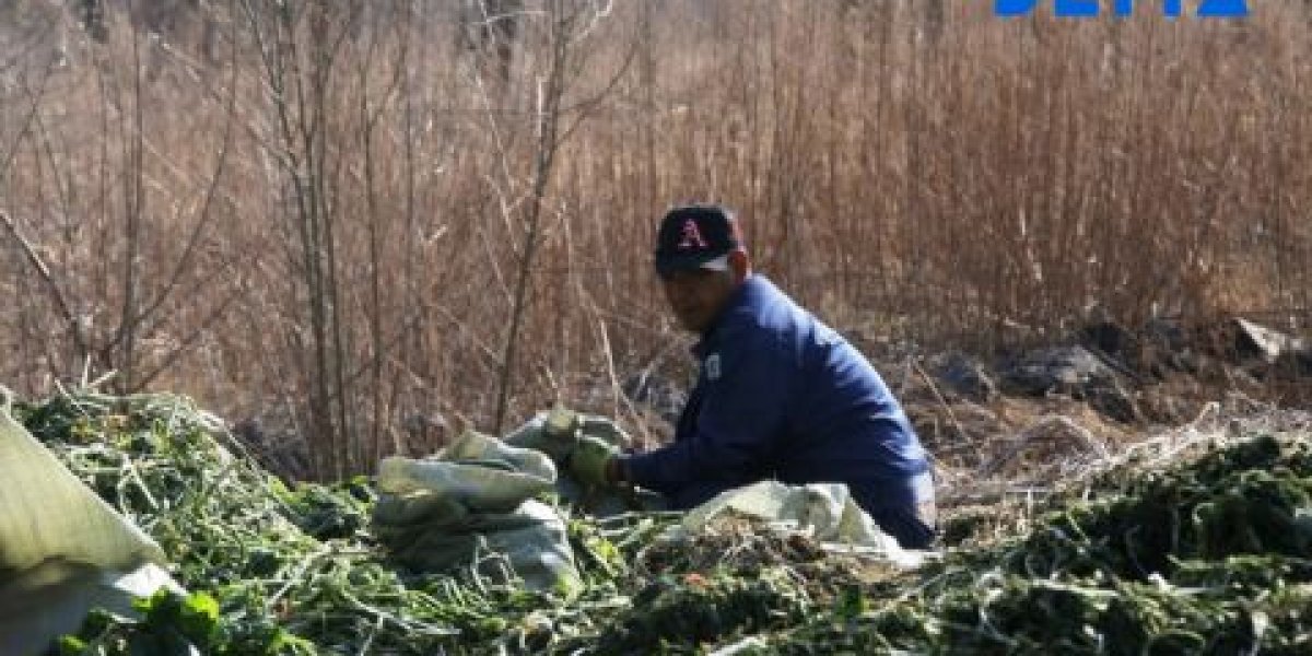 Работодателя из Приморья накажут за использование труда нелегальных мигрантов