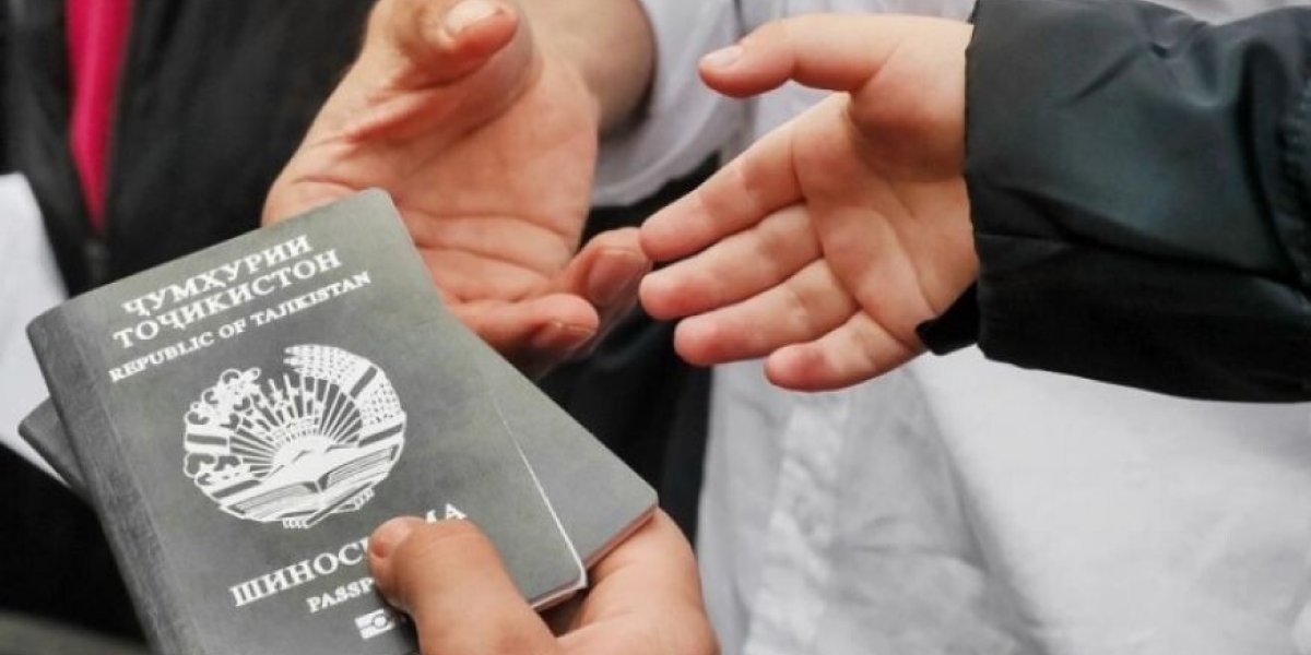 Путинский указ о талантах обернулся скандалом: мигранты требуют, чтобы их «умоляли на коленях»