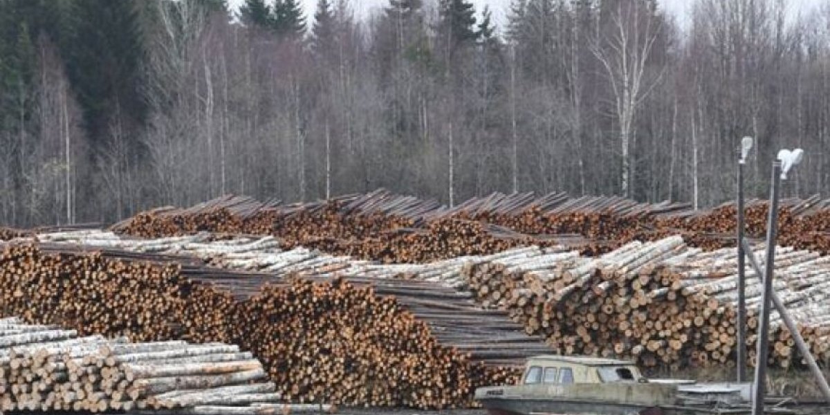 «Байкал могут уничтожить: Нельзя торговать Родиной под прикрытием благих намерений!»: в Госдуме бьют в набат «Байкал могут уничтожить: Нельзя торговать Родиной под прикрытием благих намерений!»: в Госдуме бьют в набат