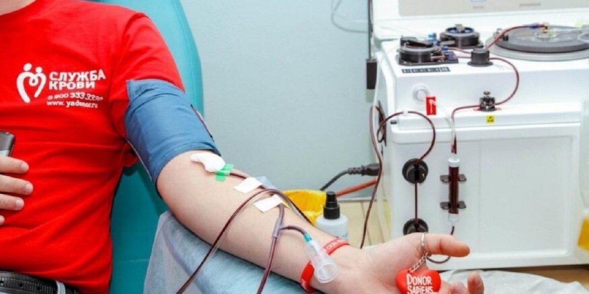 Выплаты донорам крови взлетят в 2026