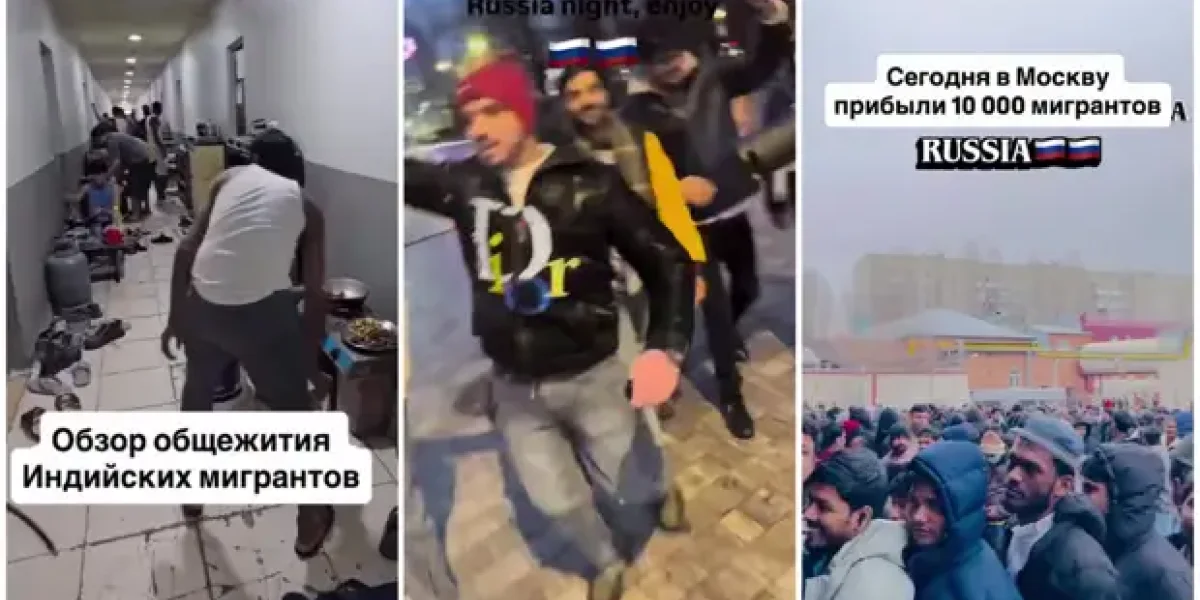 Мигранты-индусы бездельничают, шатаются по Москве, хвастаются фотками белых девушек. Делягин не сдержался