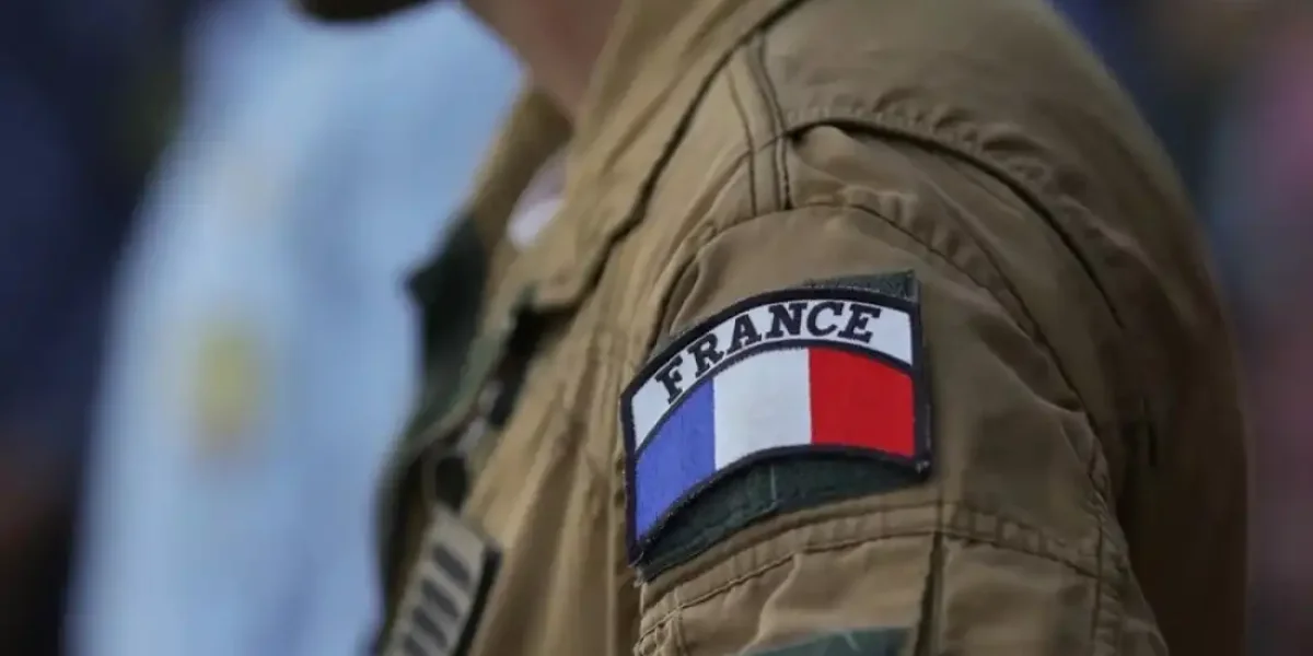 Внимание, новости из города Парижа! Тайна раскрыта! Что скажет Макрон? Солдаты из Франции прячутся от русских в зарослях Донбасса