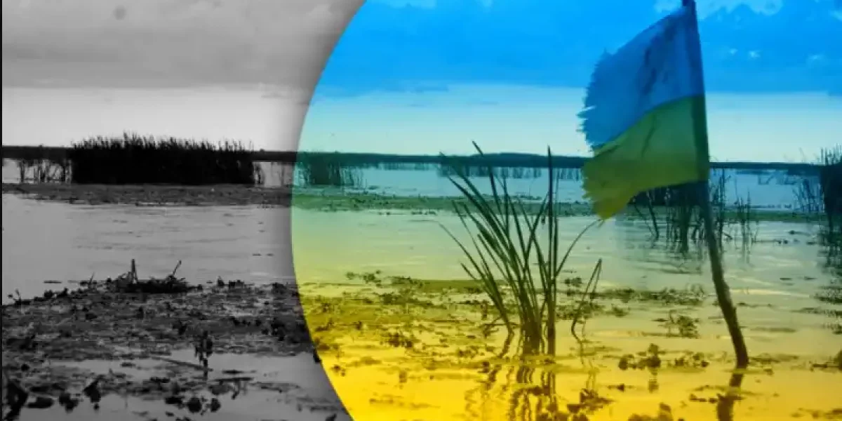 Россия отрезает Украину от Дуная