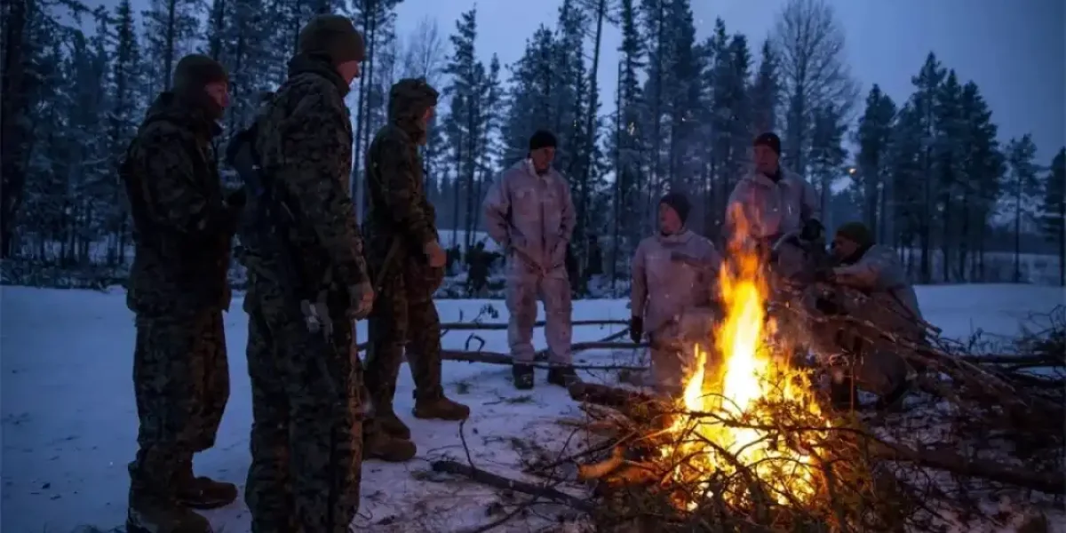 Зеленский забрал последние штаны. Армия Норвегия замерзает из-за Украины