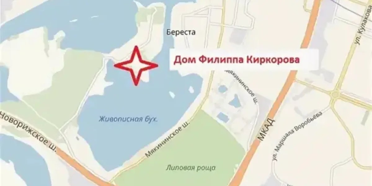 Вслед за Долиной взялись за Киркорова. Должен освободить участок, где его дом