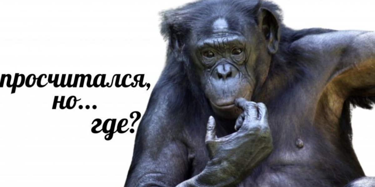 «У Гитлера не вышло, а Макрону с Каллас тем более не по силам Москва»: вице-премьер Италии о санкциях ЕС «У Гитлера не вышло, а Макрону с Каллас тем более не по силам Москва»: вице-премьер Италии о санкциях ЕС