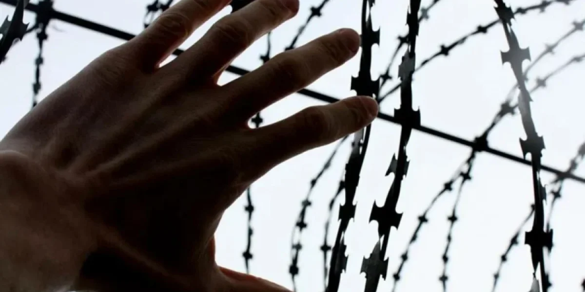 Амнистия или помилование: когда в России могут освободить заключённых