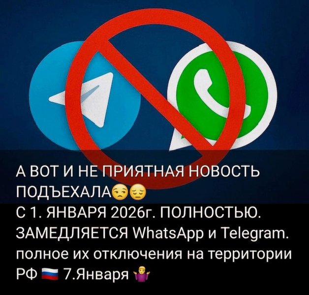 MAX вместо WhatsApp*: импортозамещение, которое уже стало неизбежным?