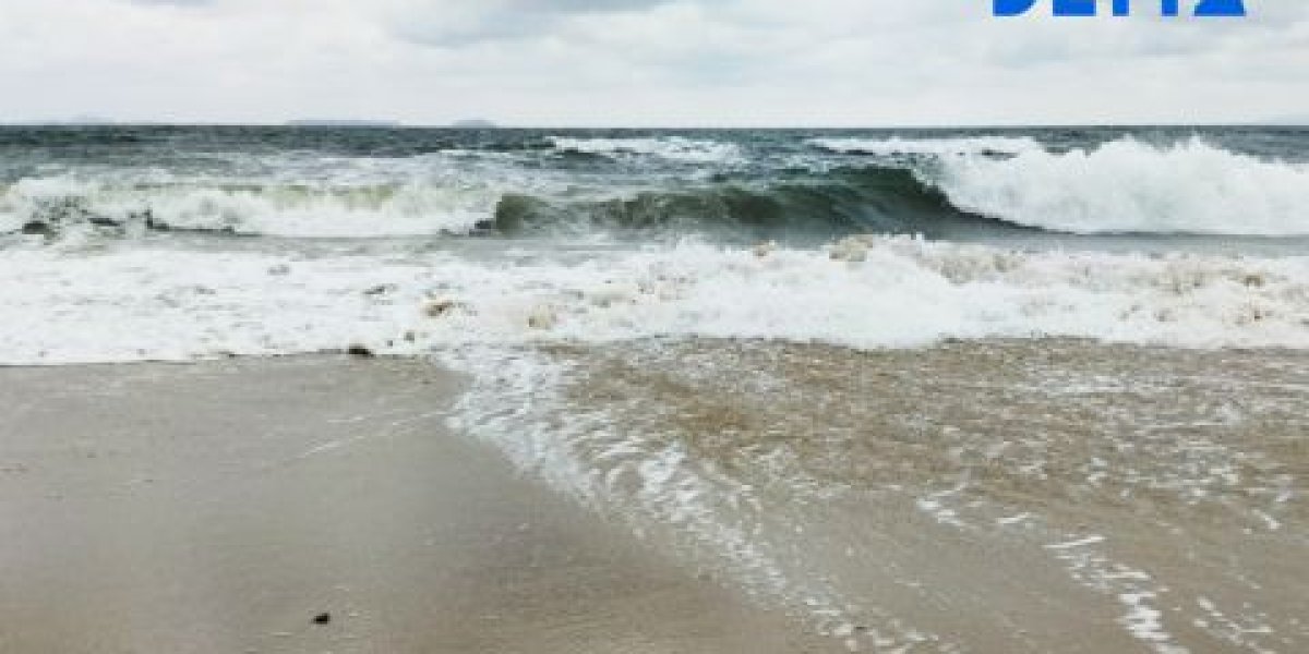 Турецкая компания прекратила все судоходные операции с Россией после атак на танкеры