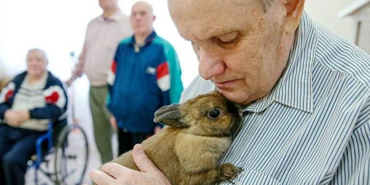 В Госдуме призвали государство поддерживать граждан и снижать налоги