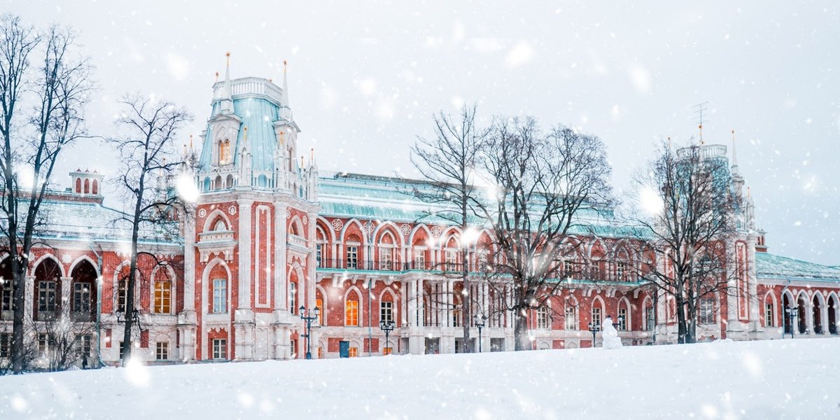 Политолог раскрыл, за какими «чудесами» европейцы едут в Россию