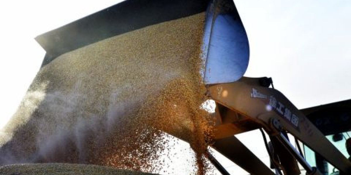 Правительство РФ направит дополнительно пять млрд рублей на льготное кредитование аграриев