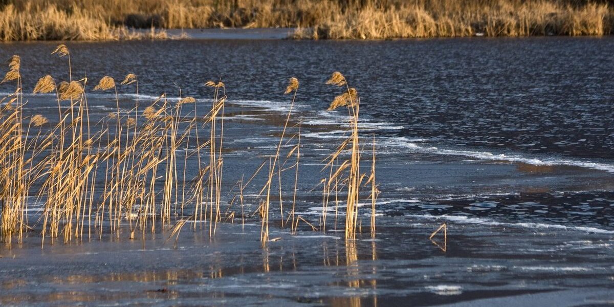 Подоляка: Российские «Герани» вновь разнесли стратегический мост через Днестр