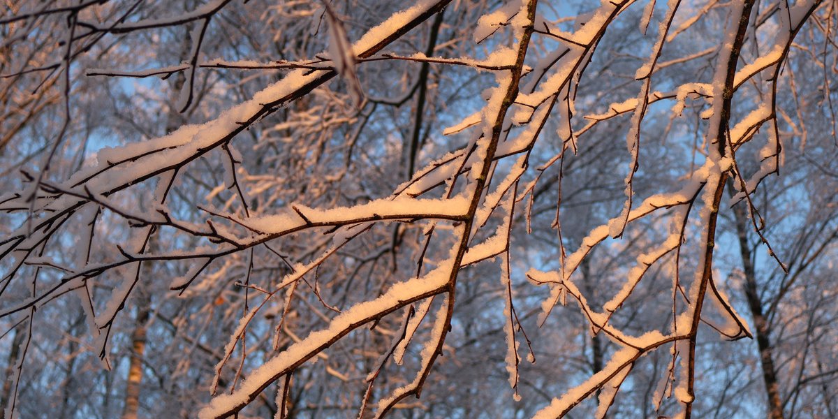 В Москву идет настоящая зима: синоптики предупреждают о метели и резком похолодании