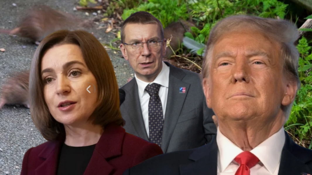 США не пустят иностранные ракеты в Западное полушарие || Ригу захватили полчища крыс США не пустят иностранные ракеты в Западное полушарие || Ригу захватили полчища крыс