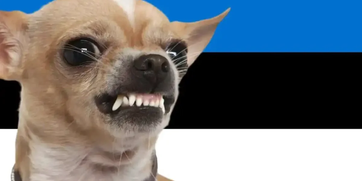 «Щенок чихуахуа не может лаять на взрослого льва»: Эстония публично опозорилась