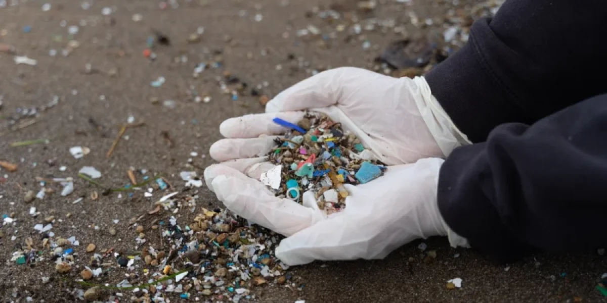 Глобальное потепление превращает микропластик в яд: выводы ученых Глобальное потепление превращает микропластик в яд: выводы ученых
