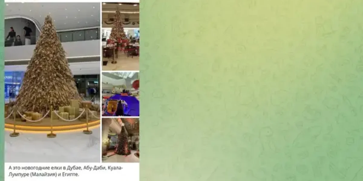 В доме Поплавской убрали ёлку. Юрист-Тургунбой потребовал согласие каждого, ссылается на закон