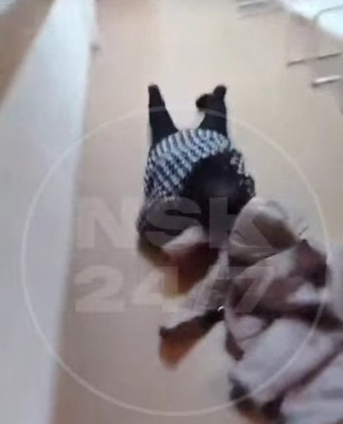 Вахтёр против системы: сторож пресёк ночную пьянку новосибирских чиновников и отчитал «господ» Вахтёр против системы: сторож пресёк ночную пьянку новосибирских чиновников и отчитал «господ»