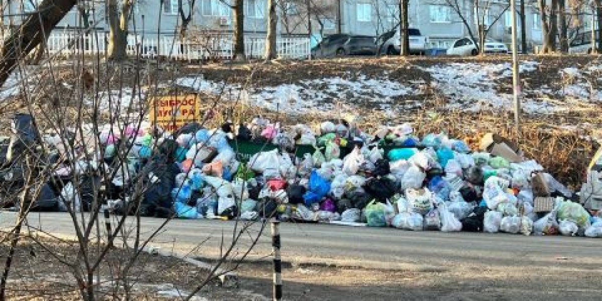 Свалка тлеет - мусор лежит: перебои с вывозом ТКО продолжаются во Владивостоке