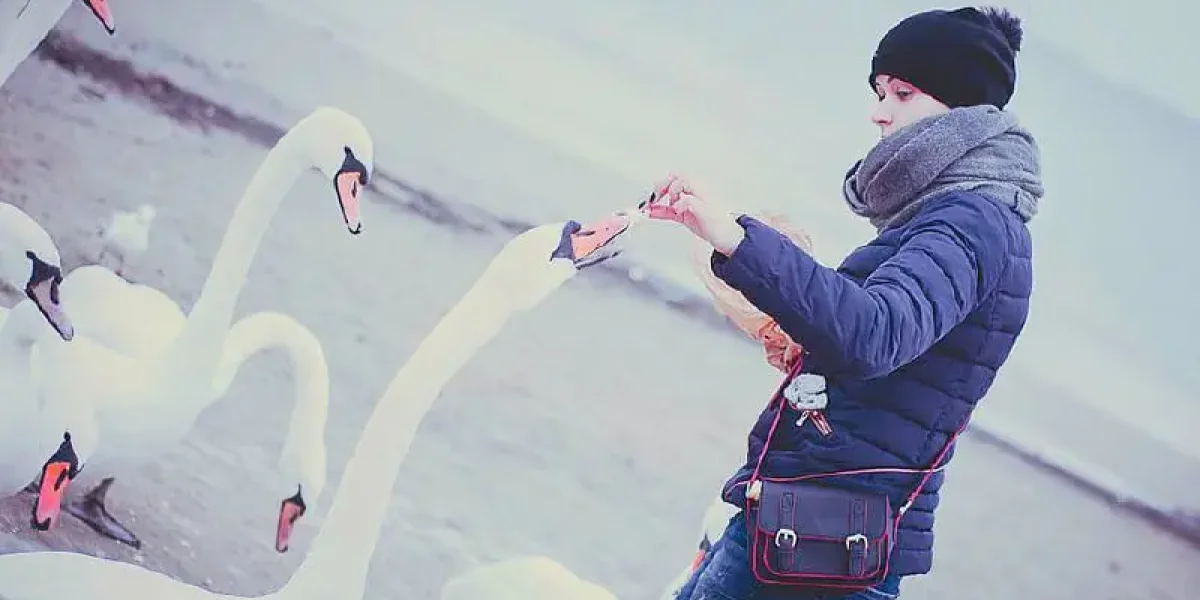 Зима напомнит о себе: в Краснодарском крае ожидаются аномально холодные выходные