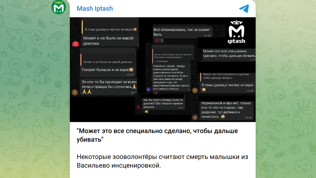 Тяжело будет собак отстаивать. Реакция на смерть ребёнка доводит до мурашек