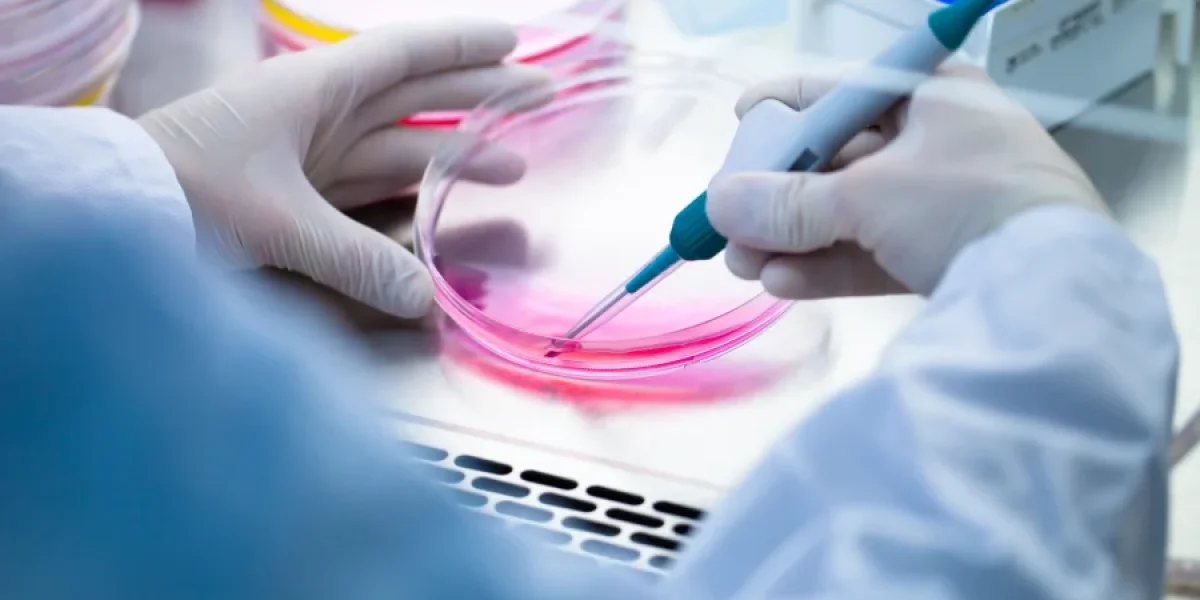 Жизнь после смерти: система OrganEx меняет представление о необратимости конца