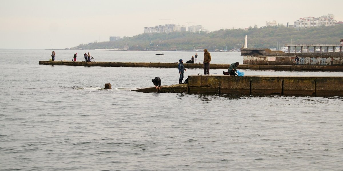 Вассерман заявил о неизбежном освобождении Одессы и Львова