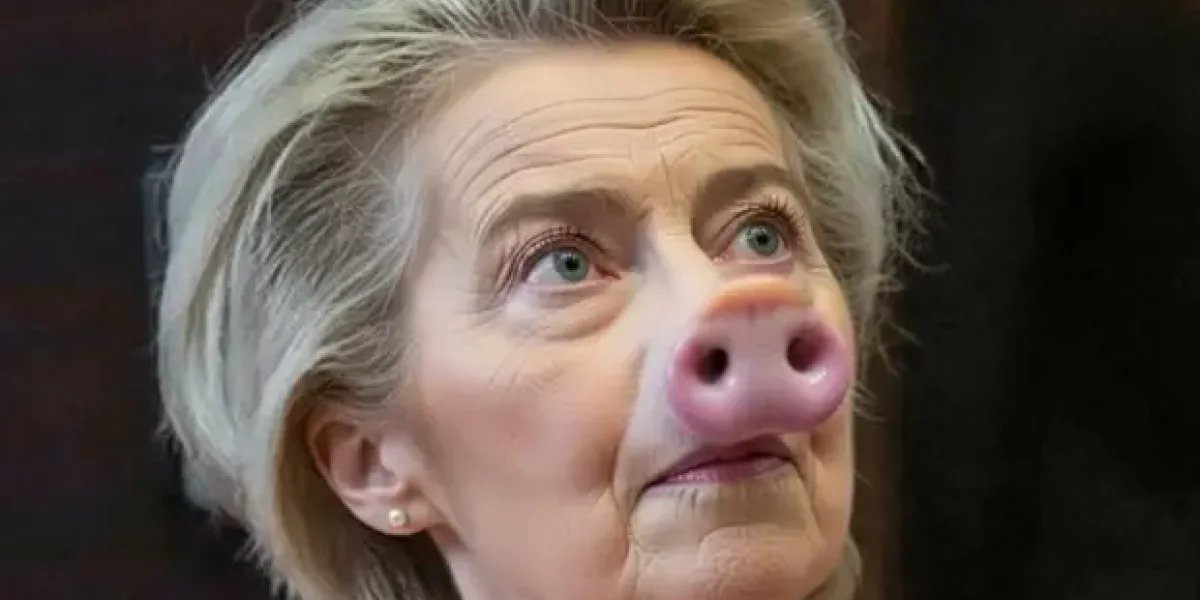 "Инфантильная феминистка в штанах". "Головомойку" фон дер Ляйен депутатом Европарламента увидел весь мир