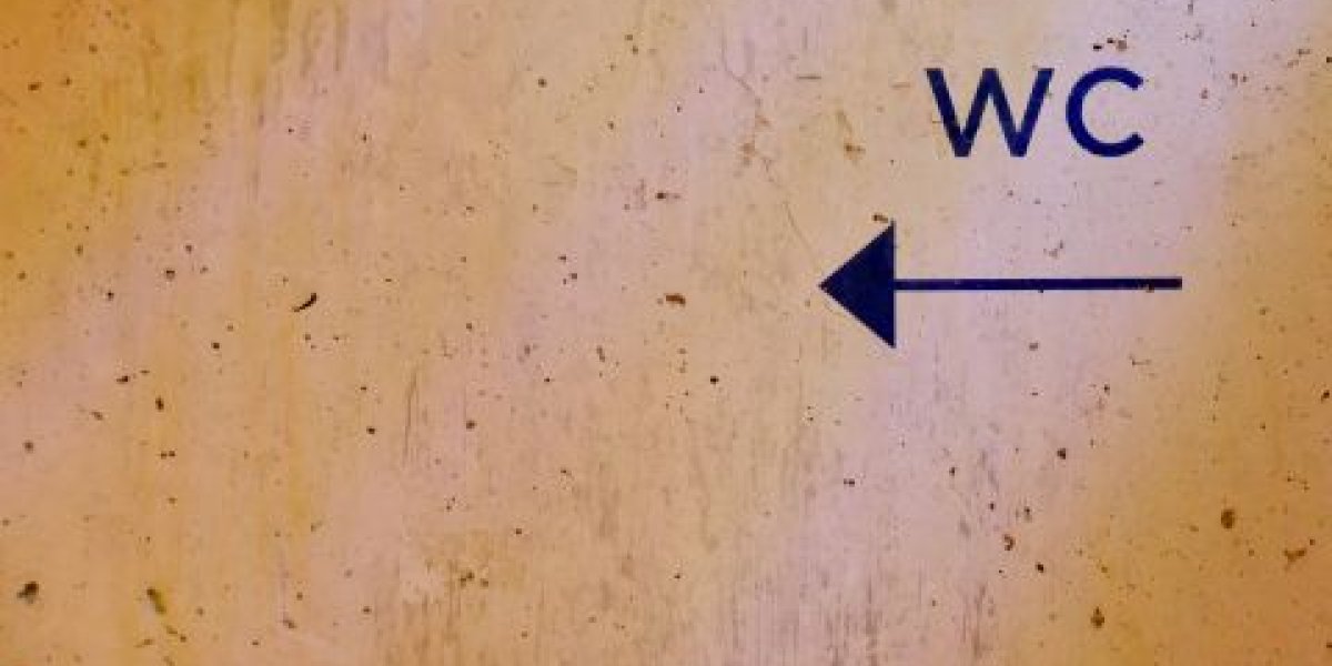 Бесплатные и доступные: в Госдуме работают над включением общественных туалетов в общую инфраструктуру