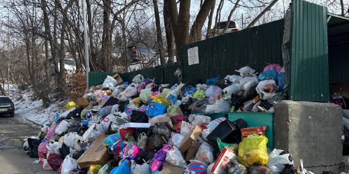 Владивосток снова встретил Новый год мусорным коллапсом (ОБНОВЛЕНО В 15:47)