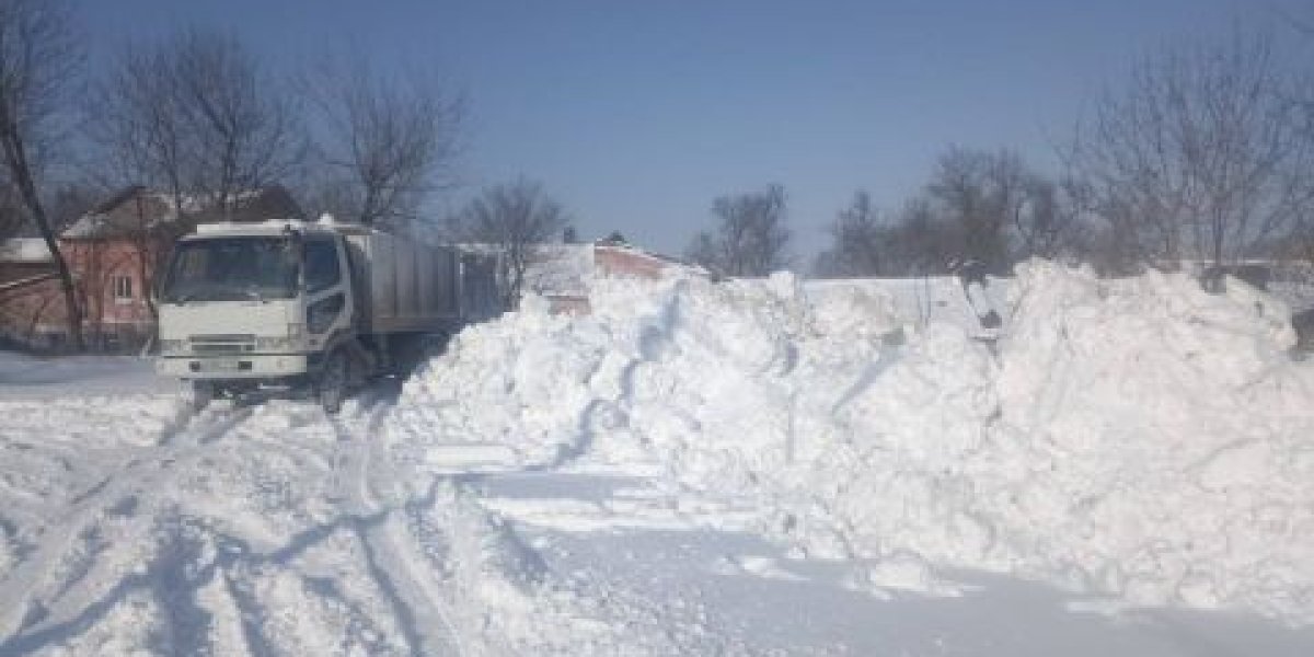 Труды детей-инвалидов уничтожили коммунальщики Владивостока