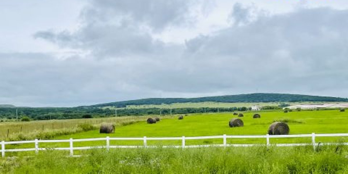Общее цифровое решение для АПК: как в России модернизируют сельское хозяйство