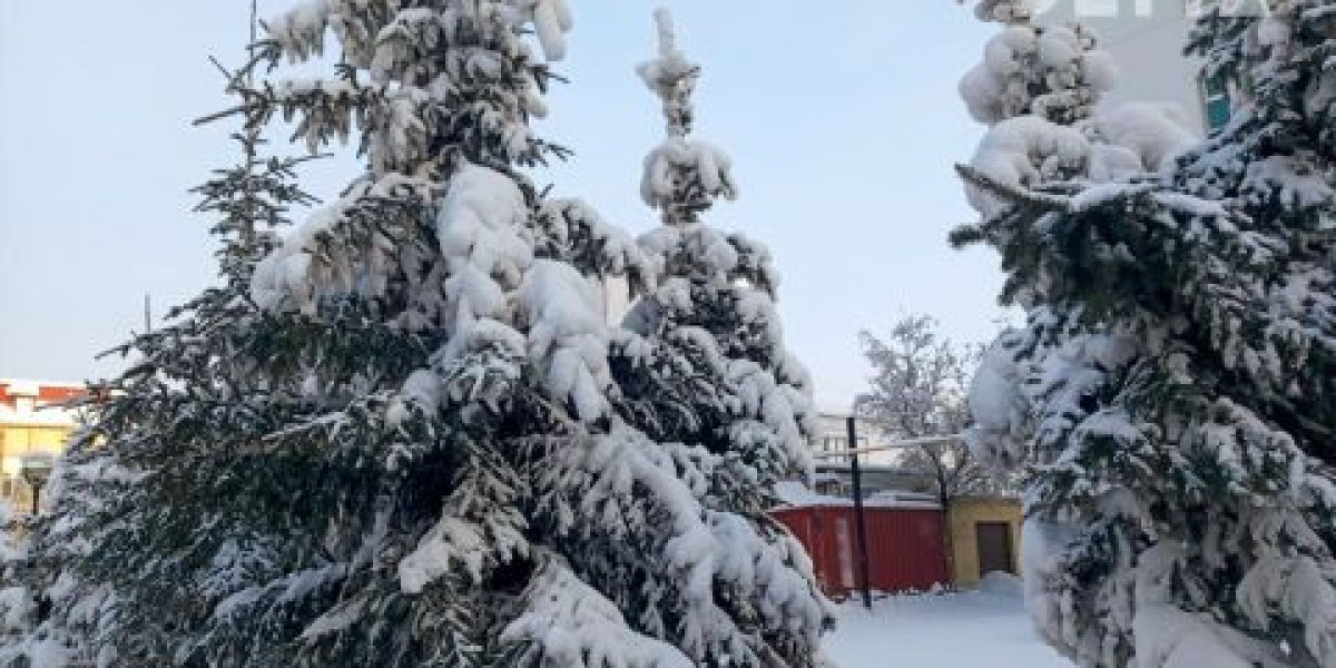 Морозная погода без осадков сохранится в Приморье в ближайшие сутки