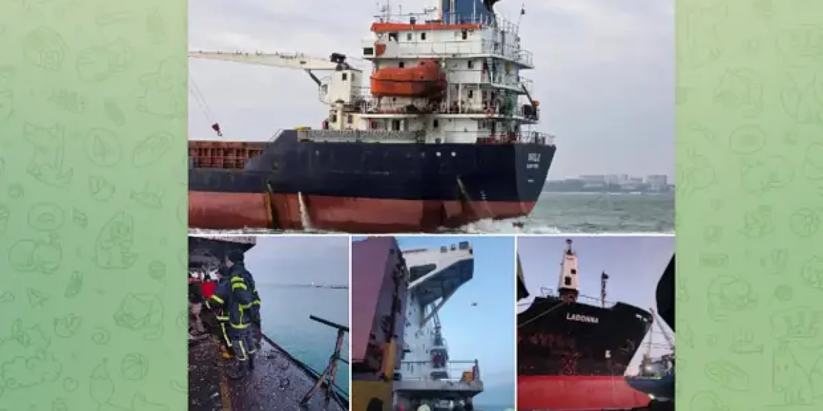 Блокада Одессы началась: Россия поразила 4 сухогруза под разными флагами за три дня