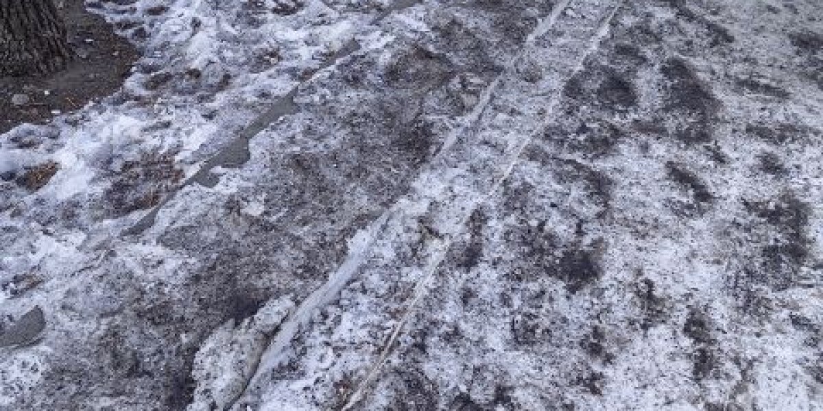 Больше полумесяца: последствия снегопада продолжают устранять во Владивостоке