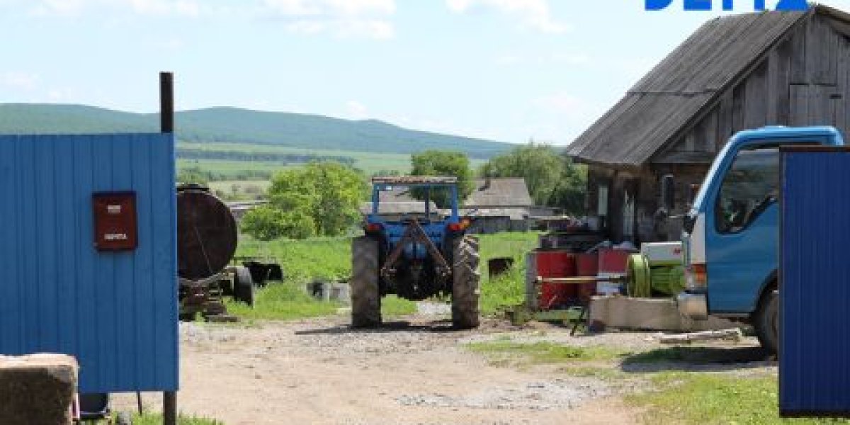 Экстремистам могут разрешить зарабатывать на капусте