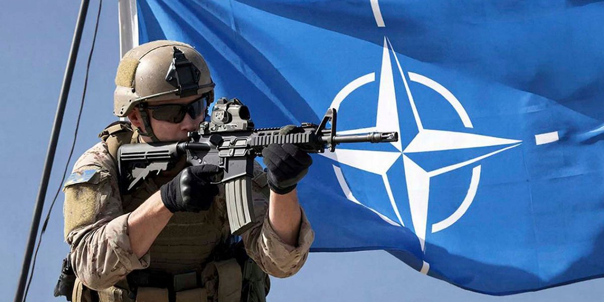 «Масштабный кризис»: атака на границы РФ станет полным кошмаром для НАТО «Масштабный кризис»: атака на границы РФ станет полным кошмаром для НАТО