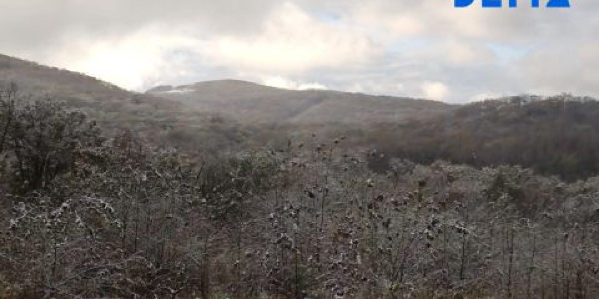 В Приморье к концу января снег сменится потеплением и штилем В Приморье к концу января снег сменится потеплением и штилем