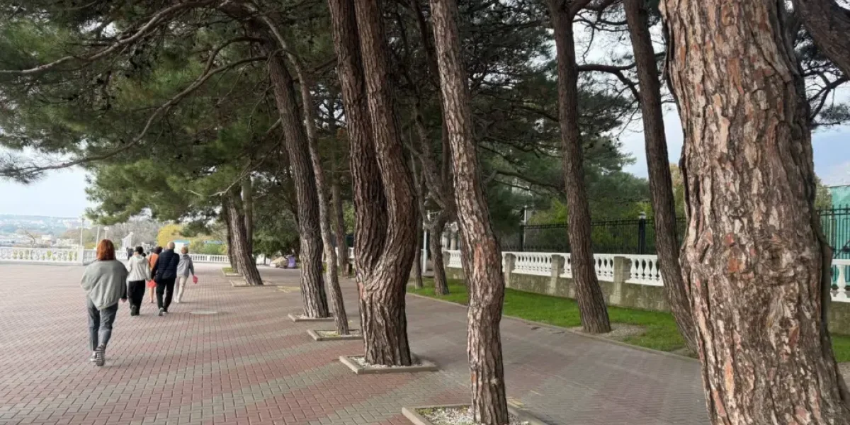 6 поступков, не подлежащих прощению — когда открывать сердце опасно 6 поступков, не подлежащих прощению — когда открывать сердце опасно