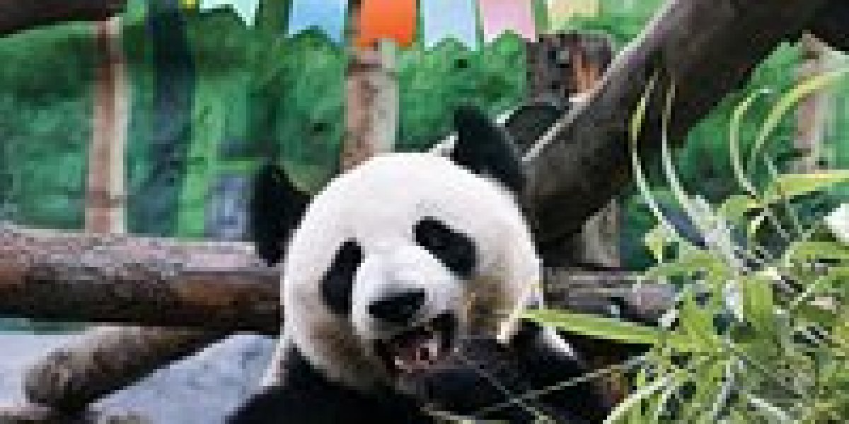 Мужчина нашел потерянное 48 лет назад обручальное кольцо жены