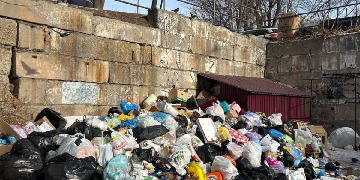 Владивосток снова встретил Новый год мусорным коллапсом (ОБНОВЛЕНО В 15:47)