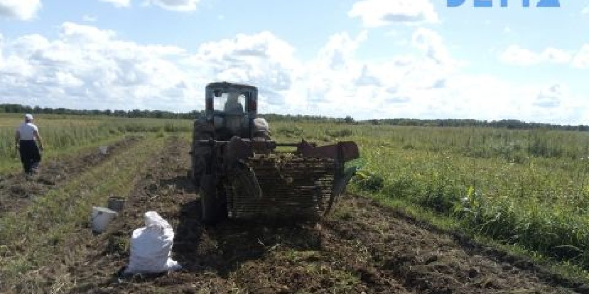 Молодежь заманивают в трактористы