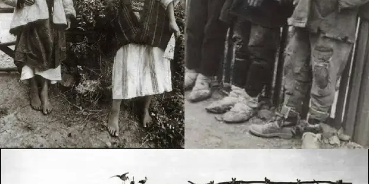 92% домов не имели окон. 87% - печной трубы. Как жили крестьяне на Украине до советской власти