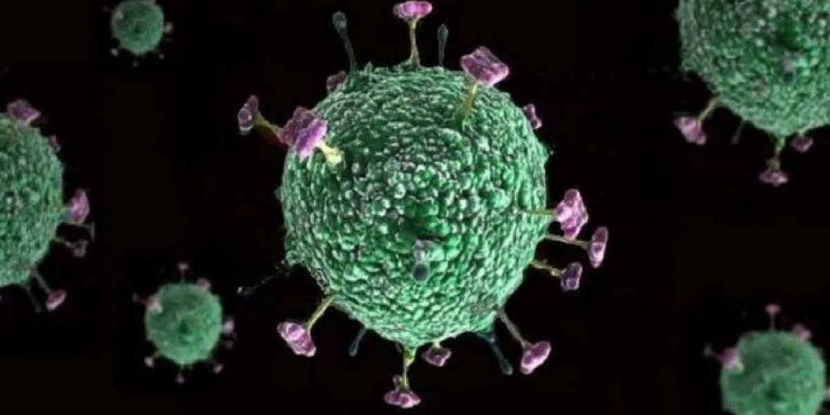 Лекарства нет, смертность свыше 40 процентов. В Индии проснулся опасный вирус