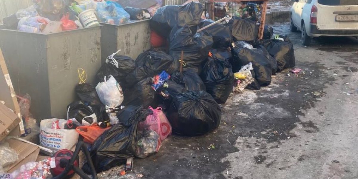Владивосток снова встретил Новый год мусорным коллапсом (ОБНОВЛЕНО В 15:47)