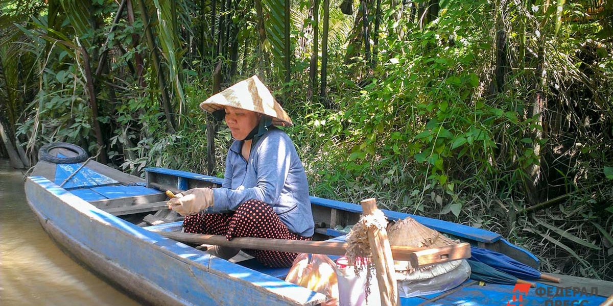 Въезд туристов из Вьетнама в Россию могут упростить: подробности