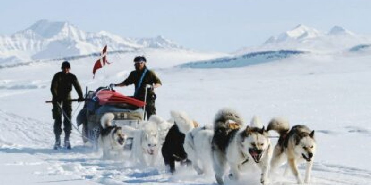 Какой будет встреча бундесвера и американской армии в Гренландии