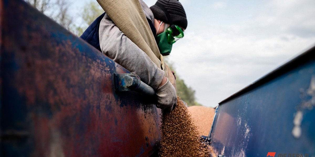 «Чуть не уронил свой гамбургер»: на фоне торговой войны США и Китая Россия наращивает поставки продукции
