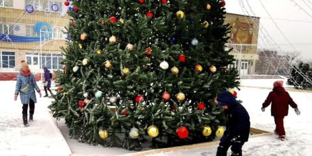 Снегом слегка припорошит Приморье на выходных